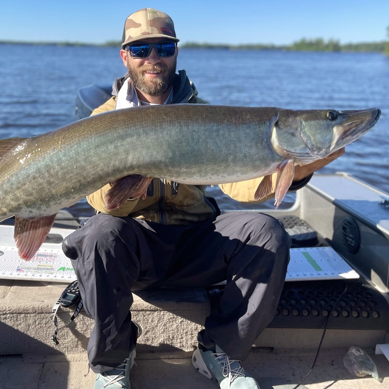 Minnesota Musky guide, Northern Minnesota, Western Minnesota, Detroit Lakes, Pelican Lake, Musky fishing, Muskie fishing, Catch and release