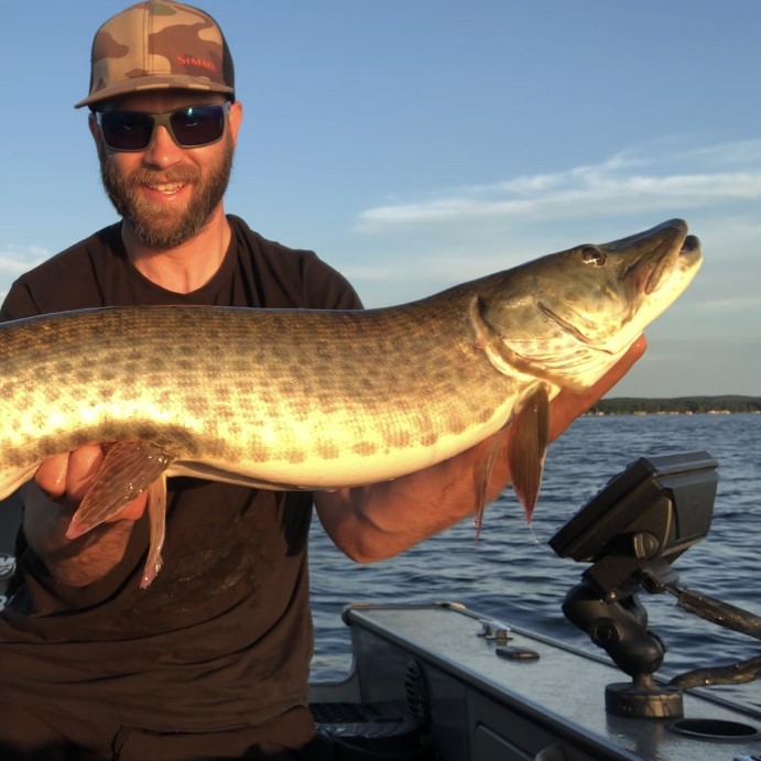 Minnesota Musky guide, Northern Minnesota, Western Minnesota, Detroit Lakes, Pelican Lake, Musky fishing, Muskie fishing, Catch and release