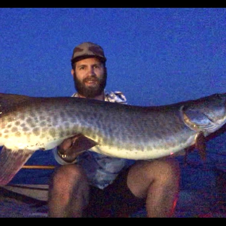 Minnesota Musky guide, Northern Minnesota, Western Minnesota, Detroit Lakes, Pelican Lake, Musky fishing, Muskie fishing, Catch and release