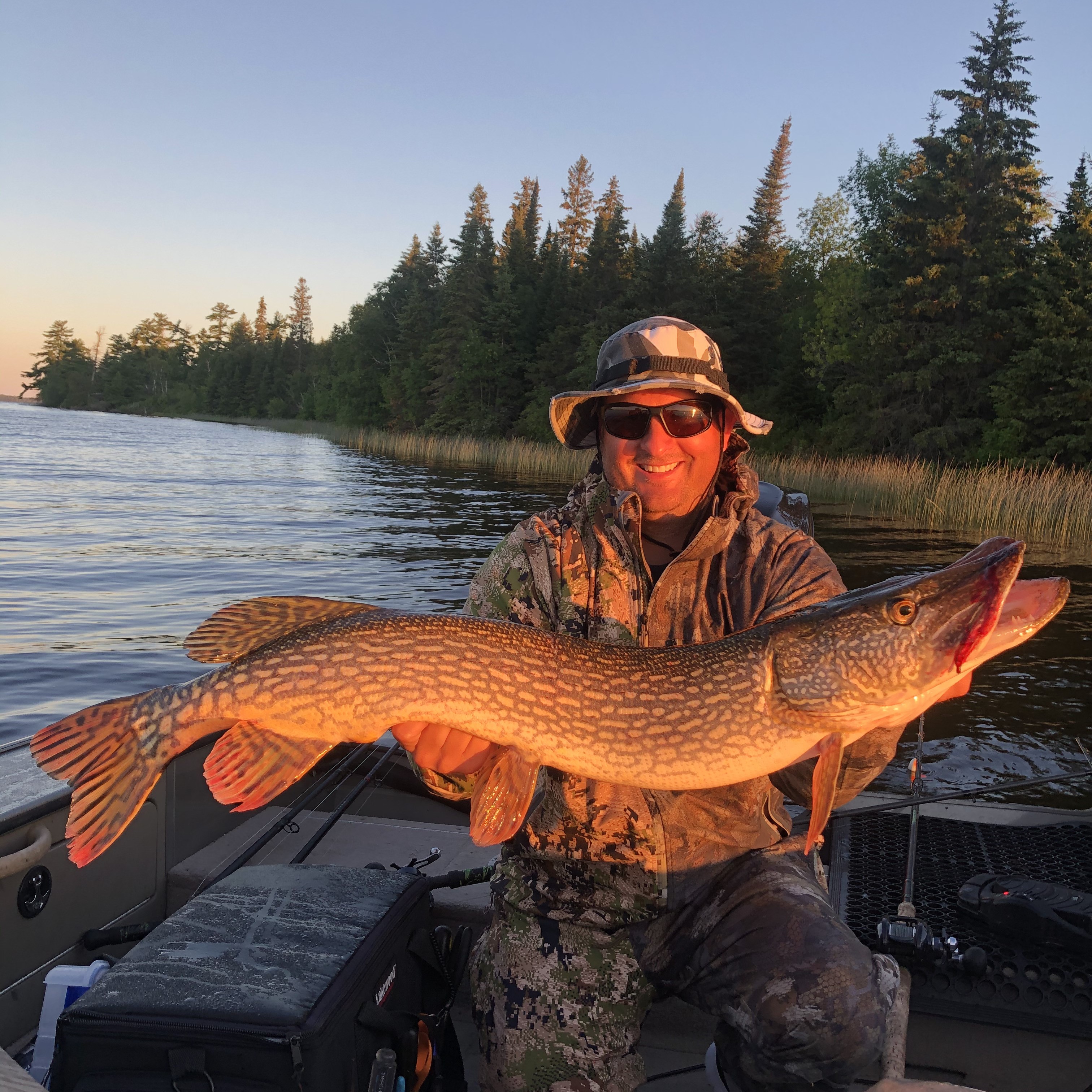 Minnesota Musky guide, Northern Minnesota, Western Minnesota, Detroit Lakes, Pelican Lake, Musky fishing, Muskie fishing, Catch and release