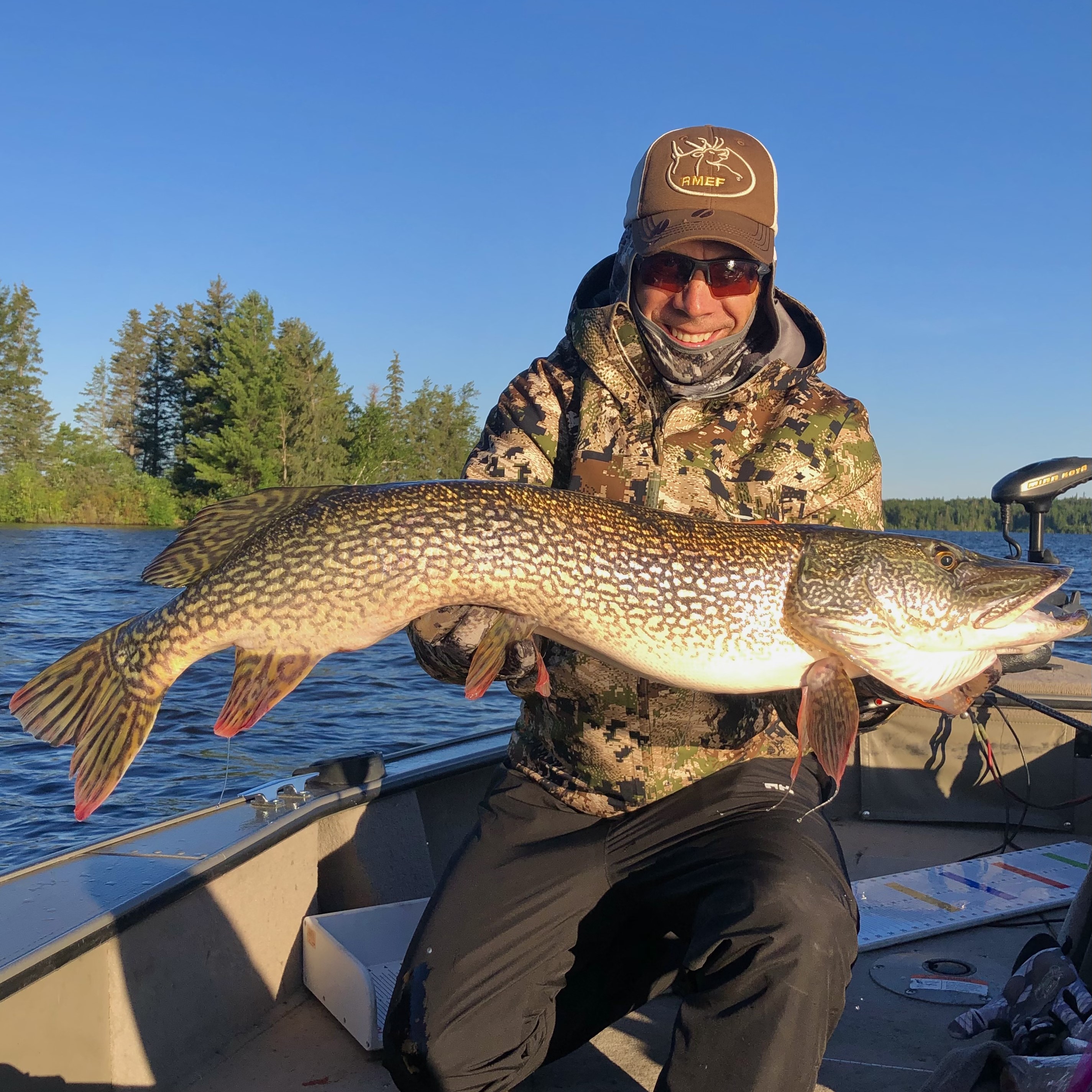 Minnesota Musky guide, Northern Minnesota, Western Minnesota, Detroit Lakes, Pelican Lake, Musky fishing, Muskie fishing, Catch and release