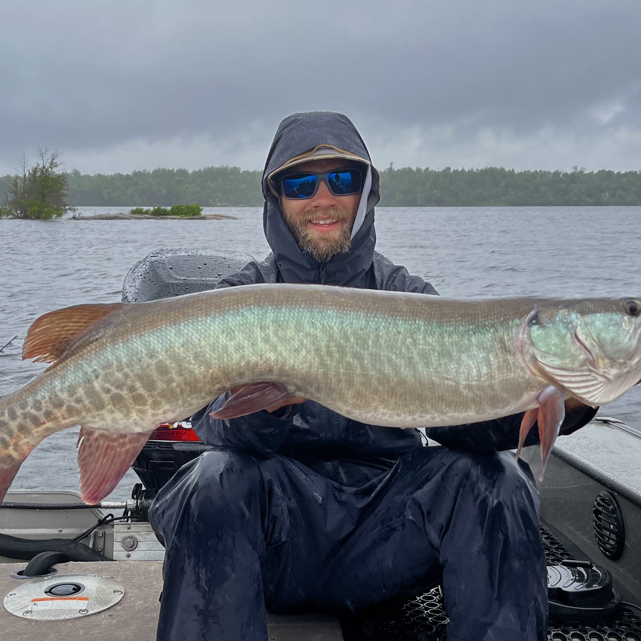 Minnesota Musky guide, Northern Minnesota, Western Minnesota, Detroit Lakes, Pelican Lake, Musky fishing, Muskie fishing, Catch and release