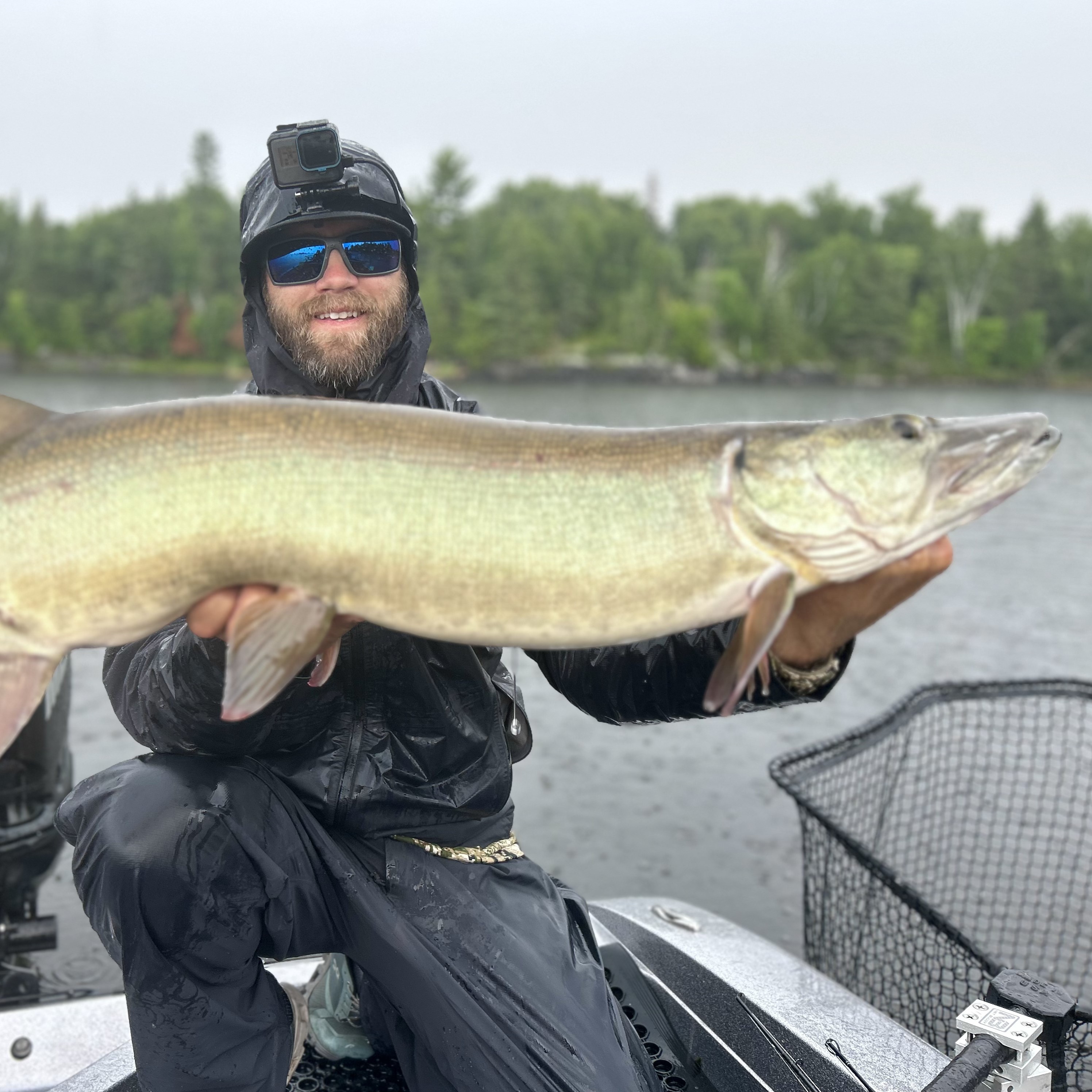 Minnesota Musky guide, Northern Minnesota, Western Minnesota, Detroit Lakes, Pelican Lake, Musky fishing, Muskie fishing, Catch and release