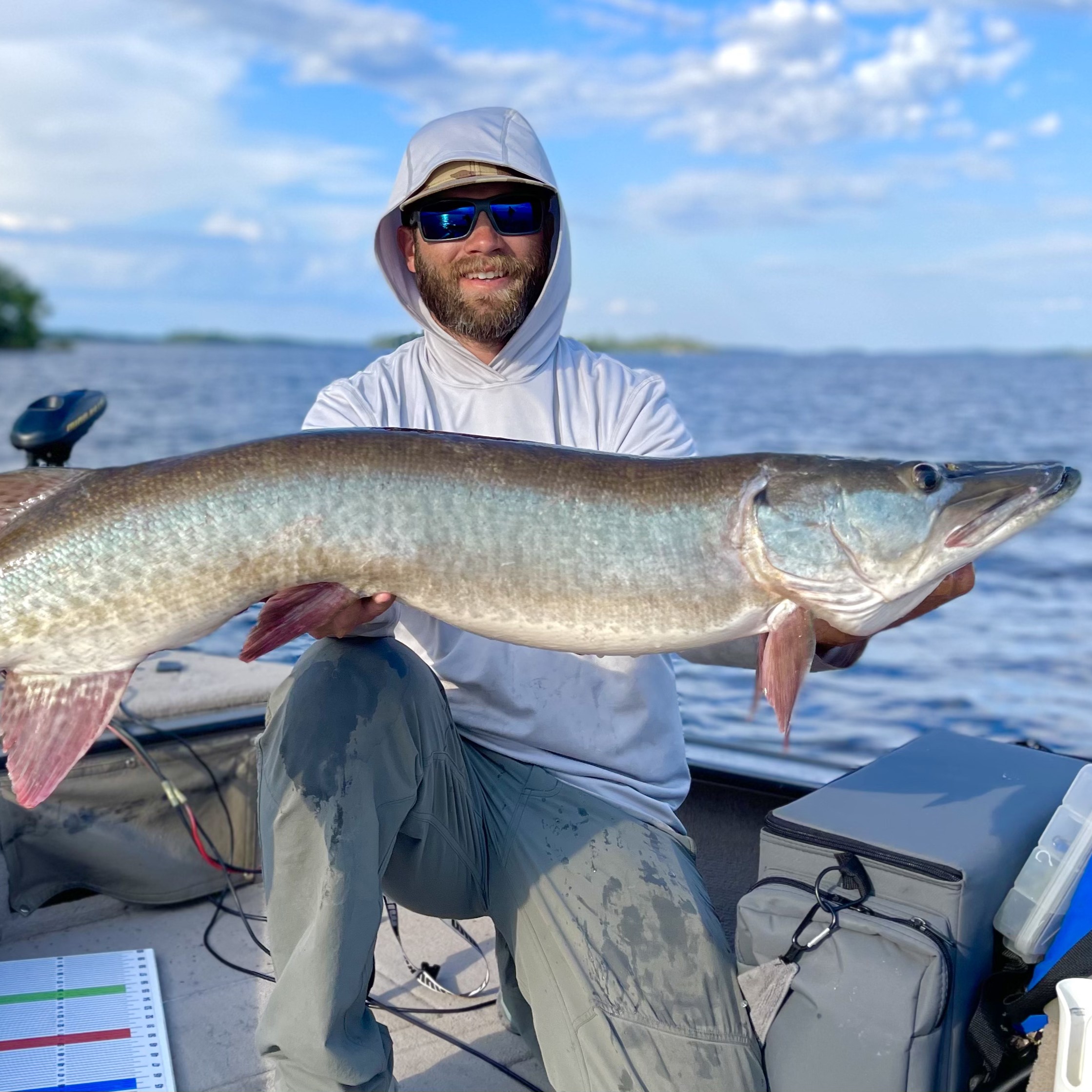 Minnesota Musky guide, Northern Minnesota, Western Minnesota, Detroit Lakes, Pelican Lake, Musky fishing, Muskie fishing, Catch and release