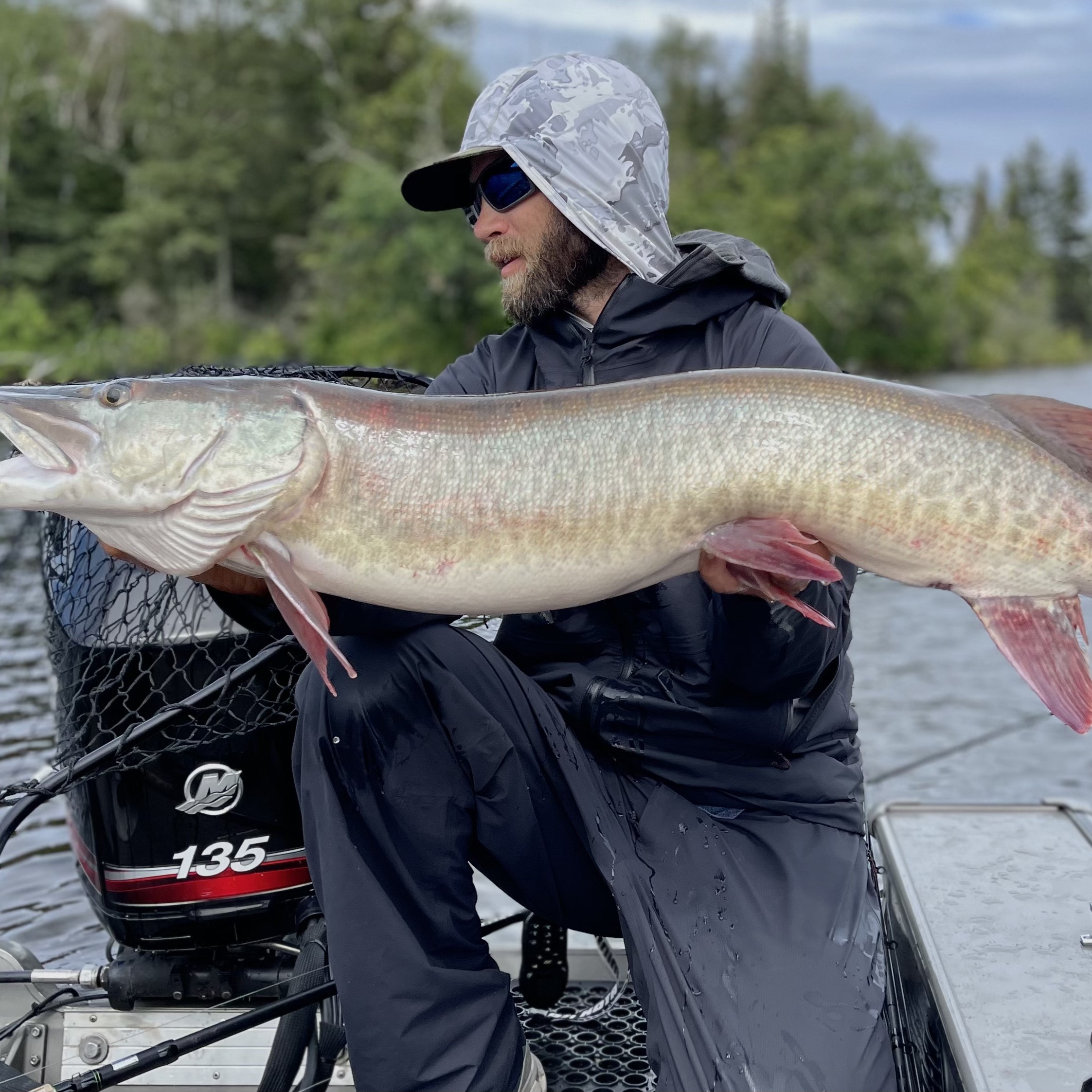 Minnesota Musky guide, Northern Minnesota, Western Minnesota, Detroit Lakes, Pelican Lake, Musky fishing, Muskie fishing, Catch and release