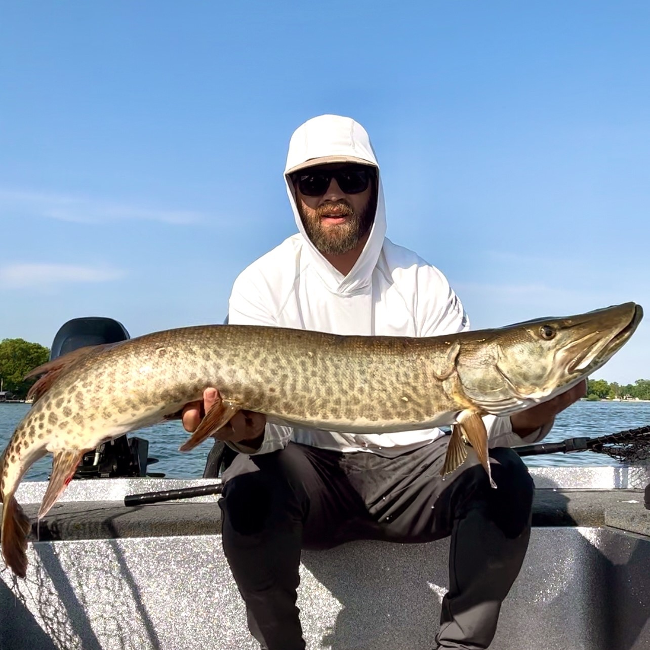 Minnesota Musky guide, Northern Minnesota, Western Minnesota, Detroit Lakes, Pelican Lake, Musky fishing, Muskie fishing, Catch and release